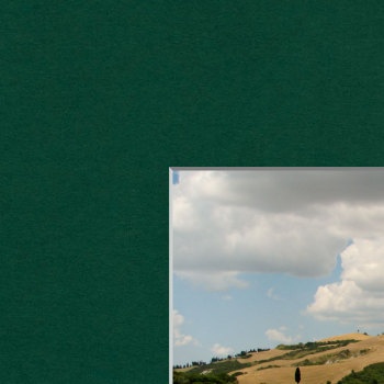 Groen 82x112cm 9461